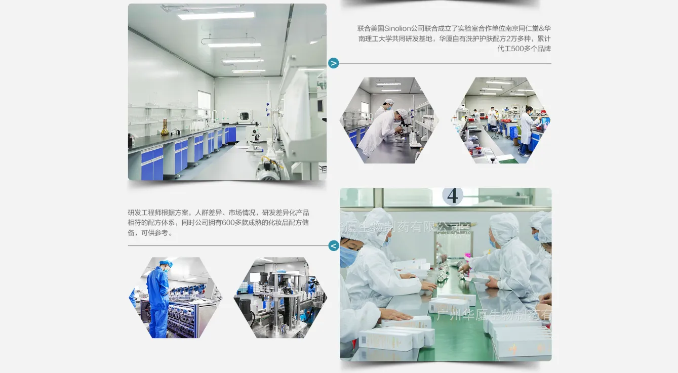研发团队